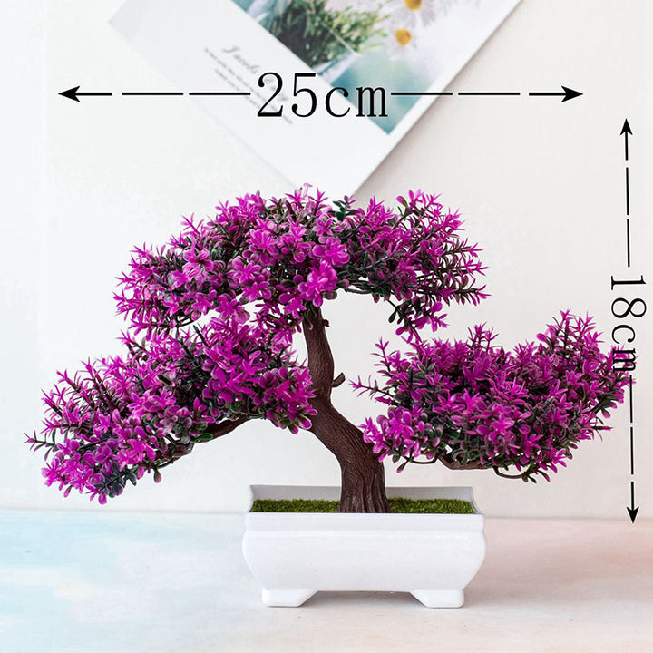 Stornfield | Bonsai Plant