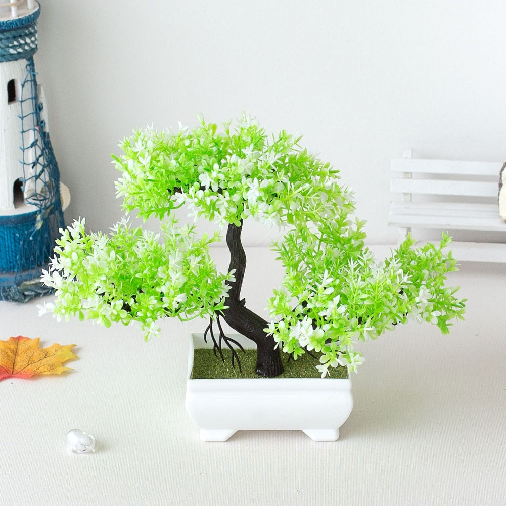 Stornfield | Bonsai Plant