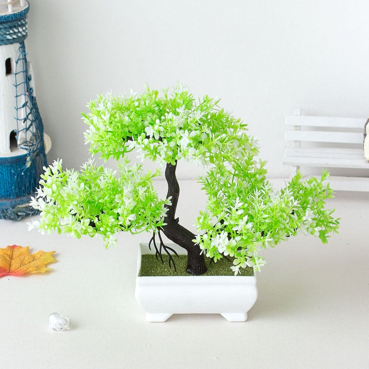 Stornfield | Bonsai Plant
