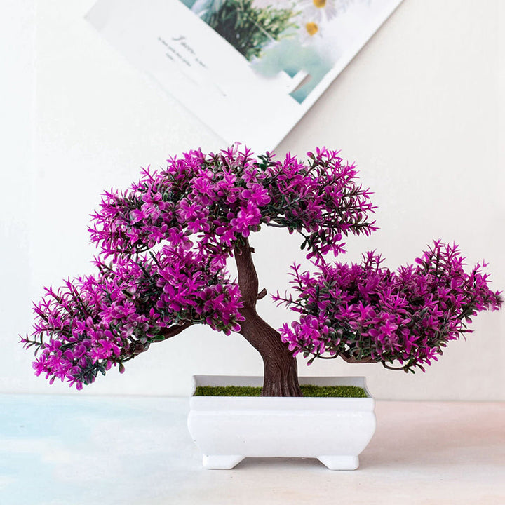 Stornfield | Bonsai Plant
