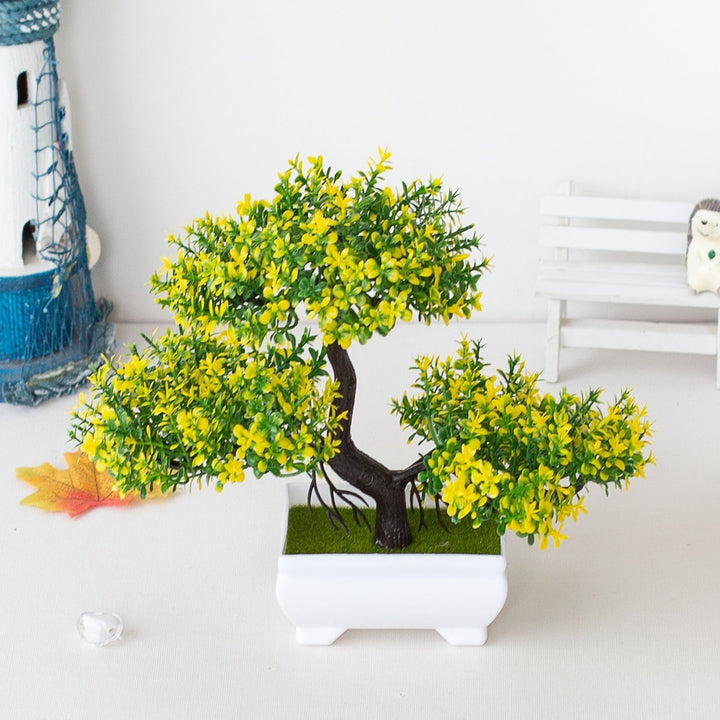 Stornfield | Plant Bonsai