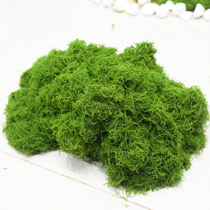 Javamoos Portion, dried