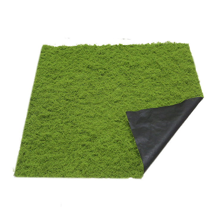 Javamoos Portion, dried
