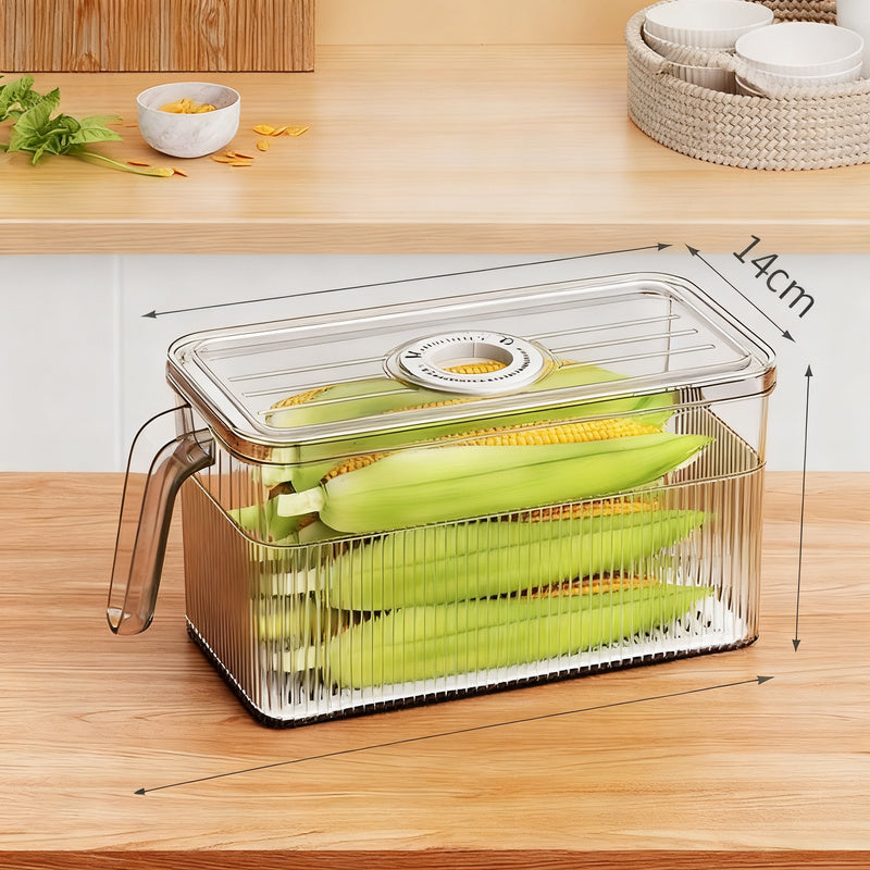 Refrigerator storage container with drain and timer function