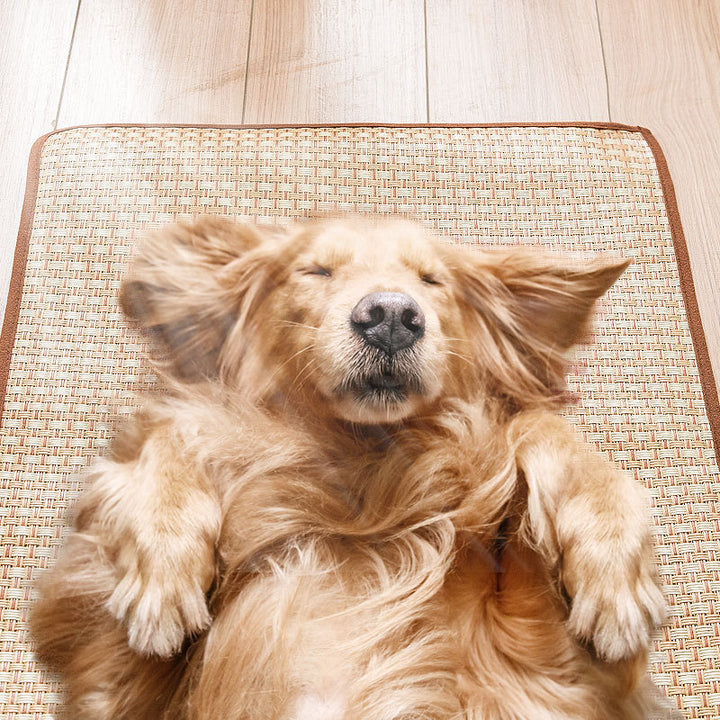 Breathable cooling mat for pets