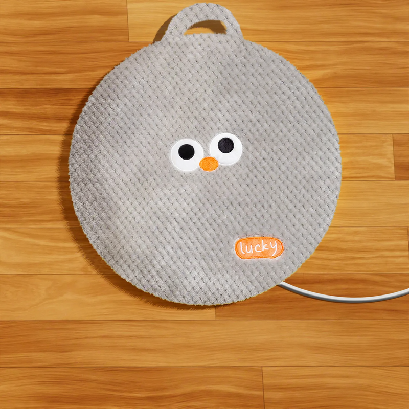 Heated pet mat with cover