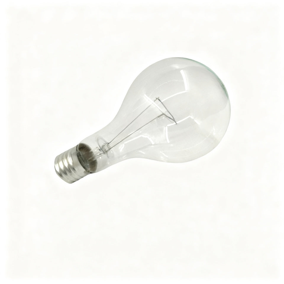 Light bulb E40 screw base 110V/220V