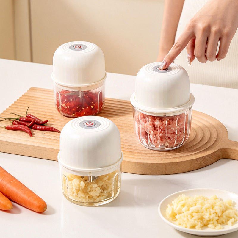 Electric garlic chopper, portable
