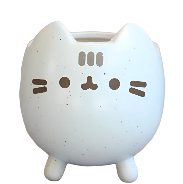 Stornfield Box-Shaped Ceramic Garden Planter, Easy to Maintain