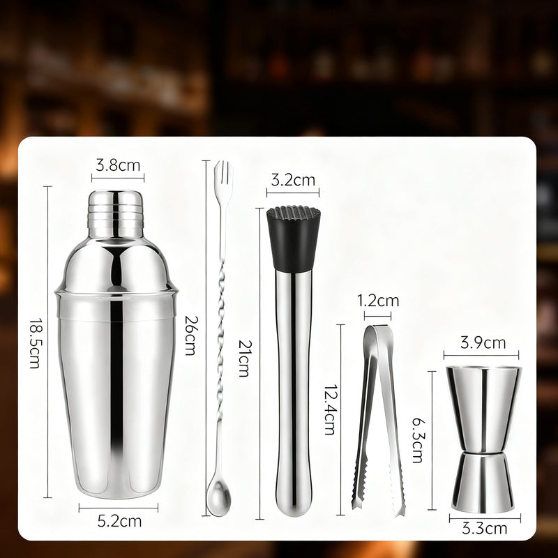 Cocktail Shaker Set with Glass and Accessories