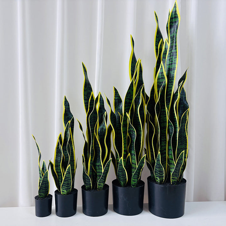 Artificial plant Sansevieria, 50 cm, PE