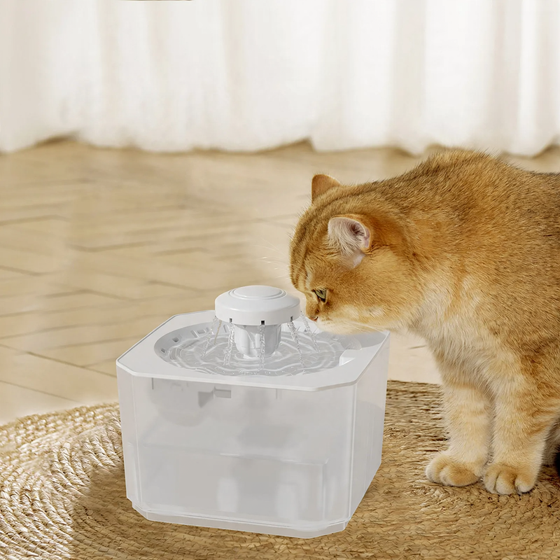 Automatic pet drinking fountain with circulation