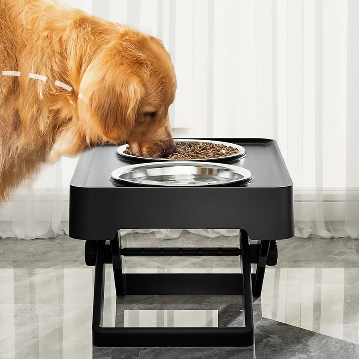 Raised double bowl made of stainless steel for large dogs