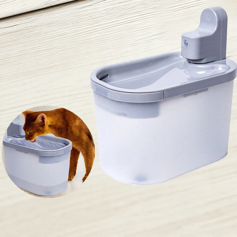 Intelligent drinking fountain with motion sensor