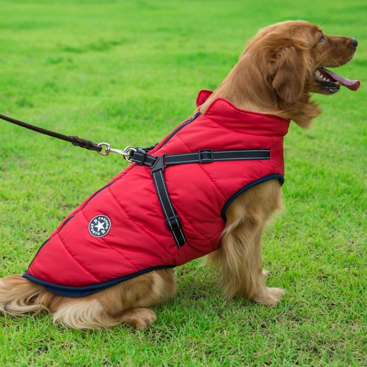 Winter Dog Jacket with Harness | Stornfield