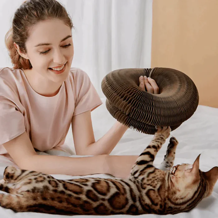 Cat toy | Stornfield