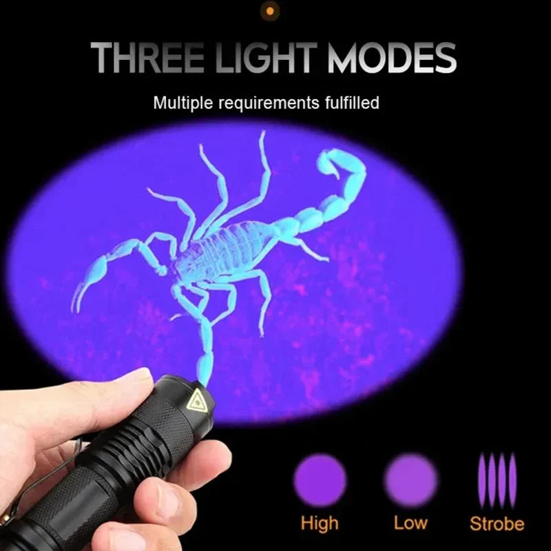 Stornfield | UV LED Flashlight - Ultraviolet Inspection Lamp for Pet Urine & Stain Detection
