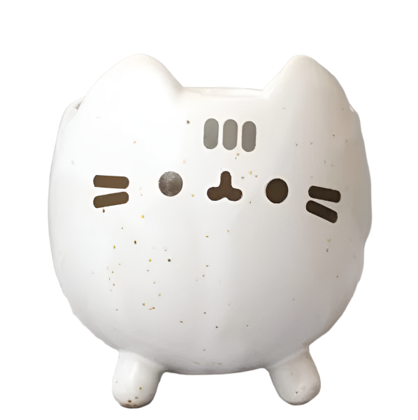Stornfield Box-Shaped Ceramic Garden Planter, Easy to Maintain