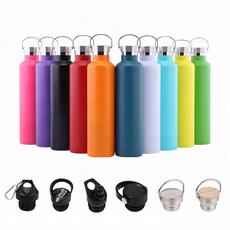 Insulated stainless steel drinking bottle with handle