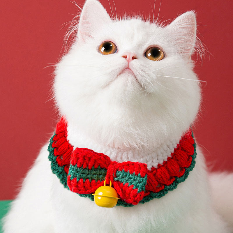 Hand-knitted collar for cats