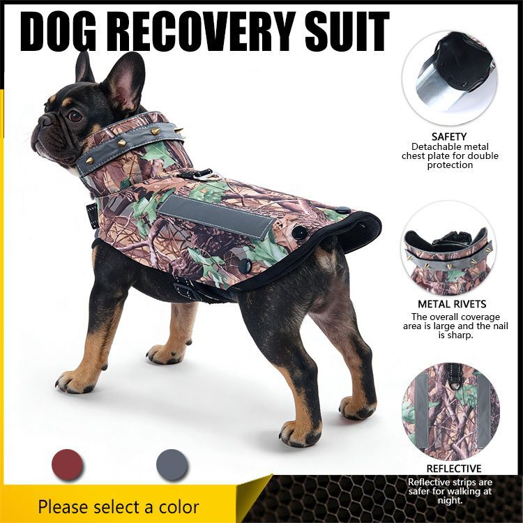 Dog vest with padding
