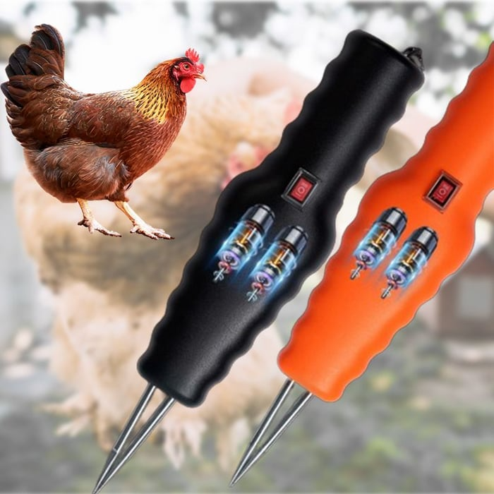 Electric Chicken Eater | Stornfield