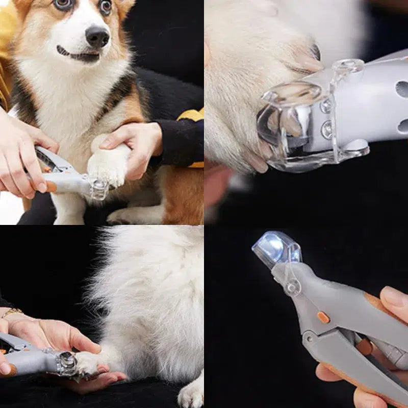 Stornfield | MAX - Best dog nail clippers with quick sensors