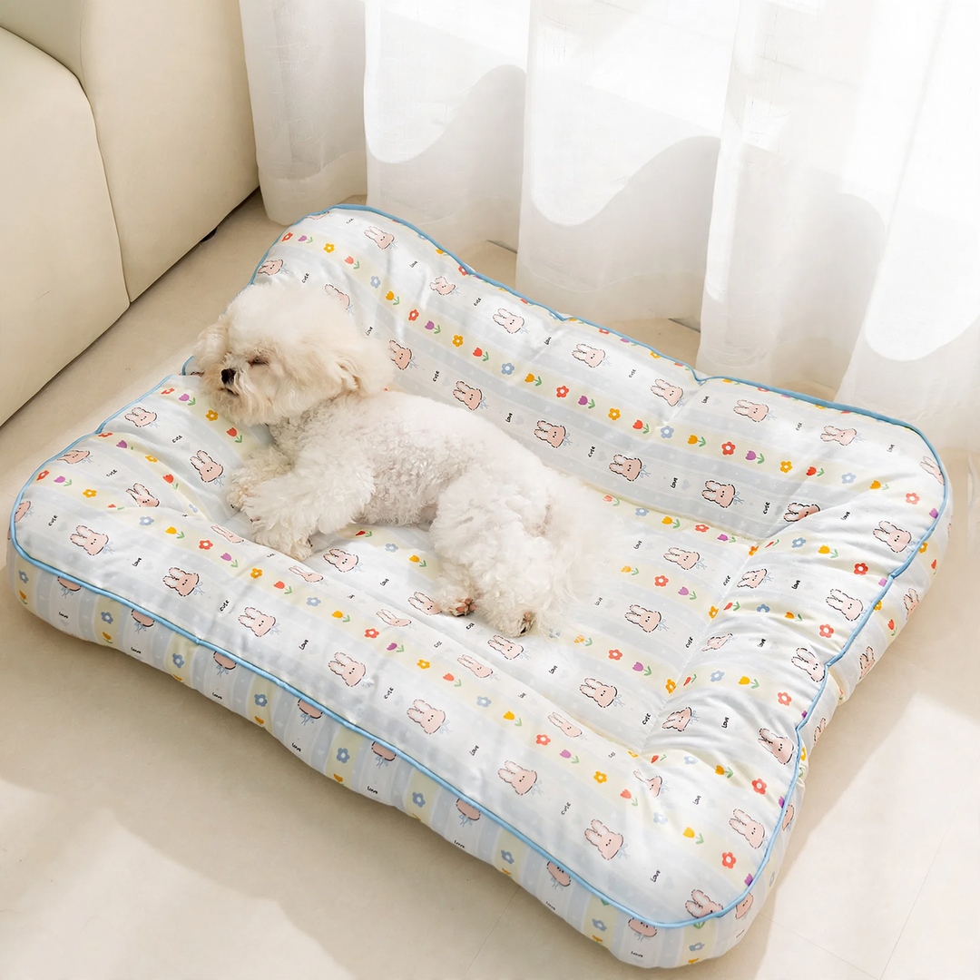 Washable pet lounger, year-round