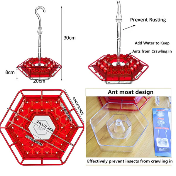 Stornfield | Hummingbird Feeder With Built-In Ant Moat