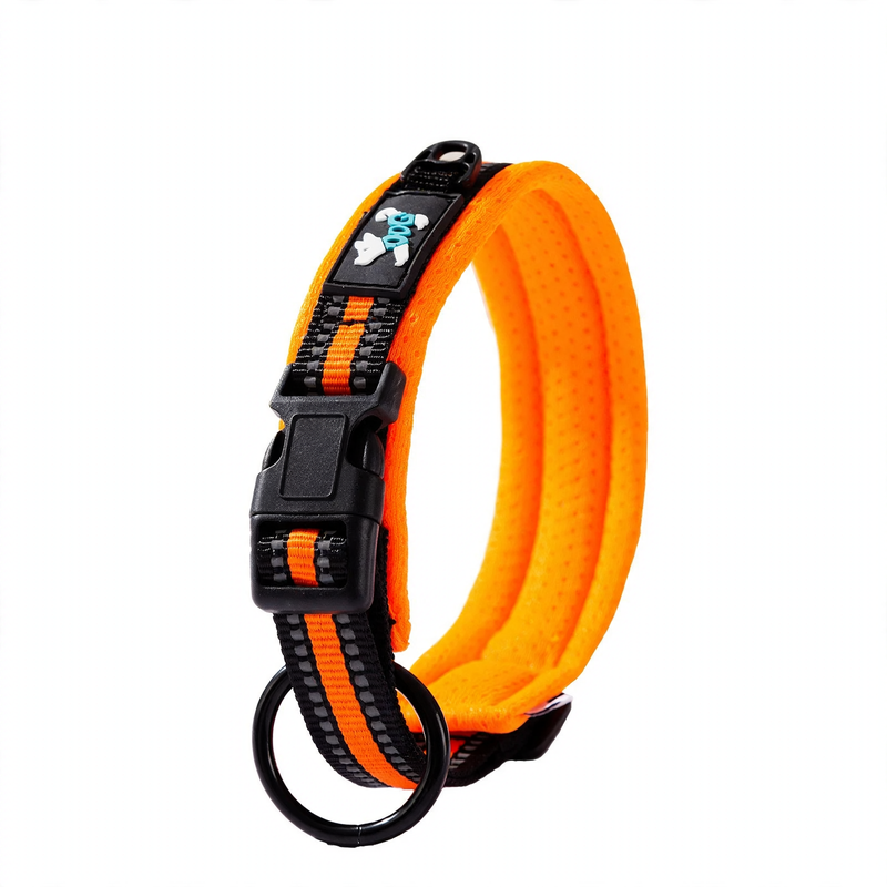 Nylon collar for medium and large dogs