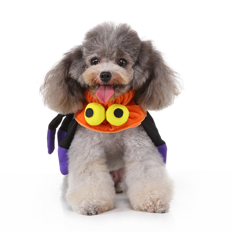 Elastic Polyester Collar for Parties and Events