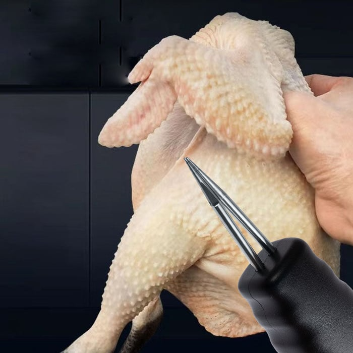 Electric Chicken Eater | Stornfield
