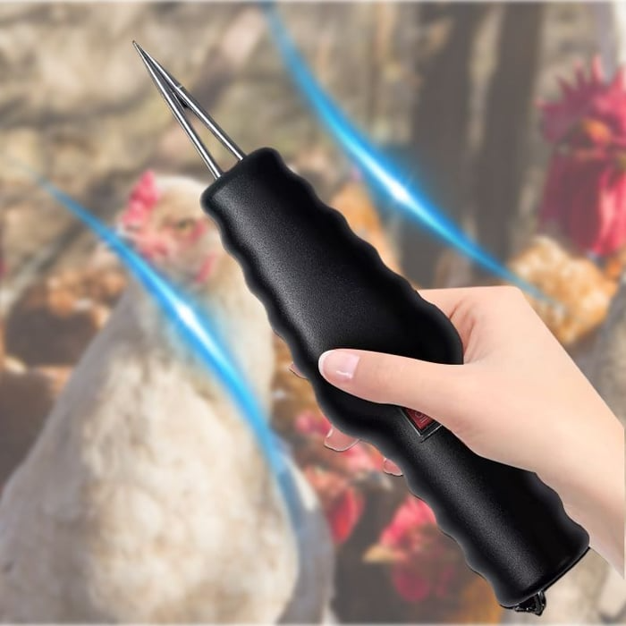 Electric Chicken Eater | Stornfield