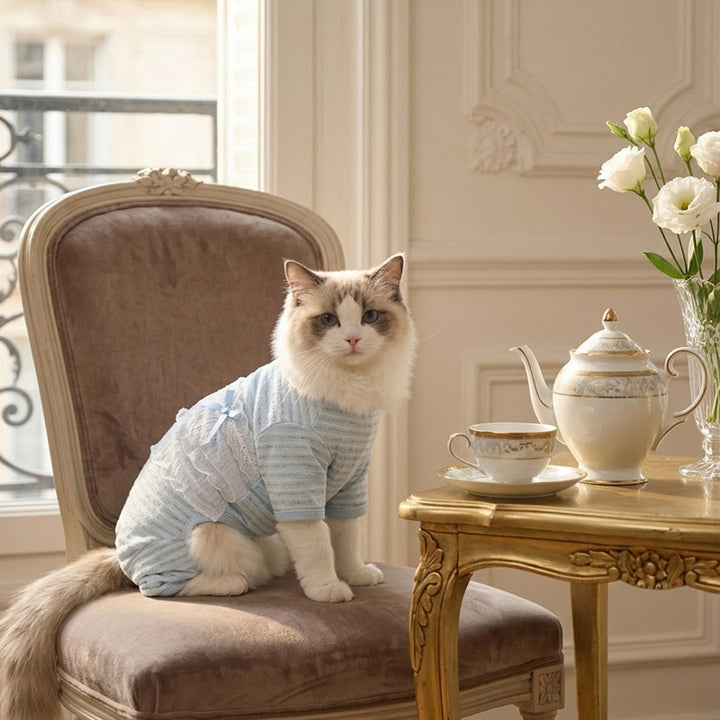 Pet Belly Protection Shirt, breathable, Spring and Summer