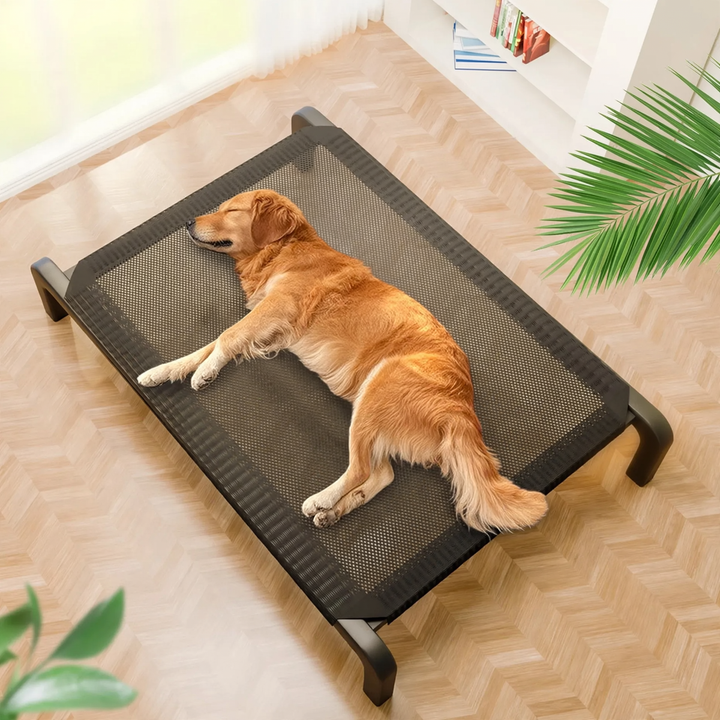 Dog bed with steel frame, breathable, year-round