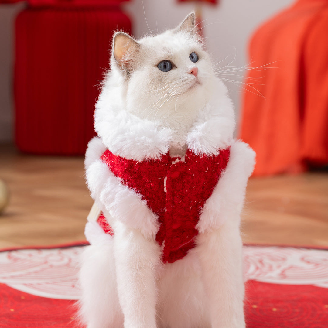 Warm vest for cats, Chinese style