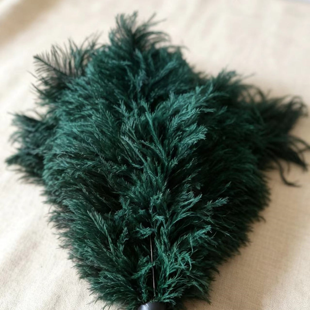 Feather duster made of ostrich feathers, extensible