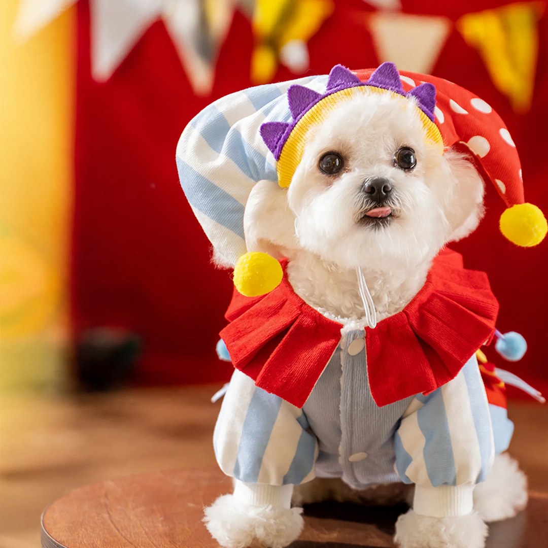 Pet Clown Costume, padded, Autumn/Winter
