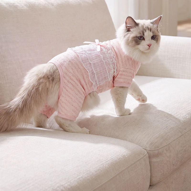 Cat belly protection, thin, four legs, summer