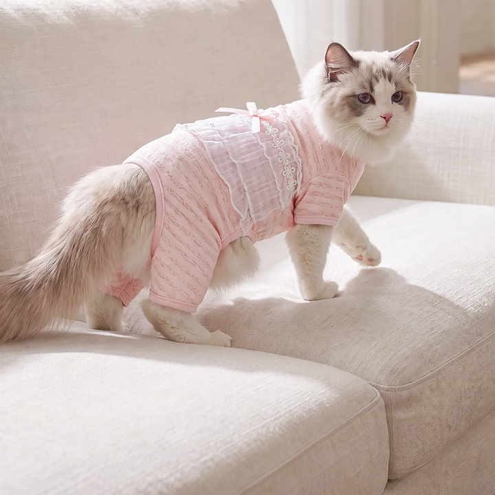 Cat belly protection, thin, four legs, summer