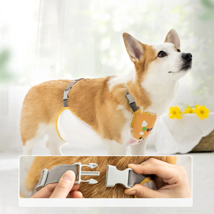 Waterproof belly protection vest for dogs