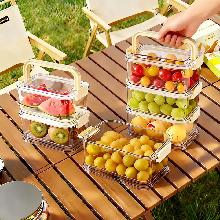 Portable fresh-keeping box with handle and cooling pack
