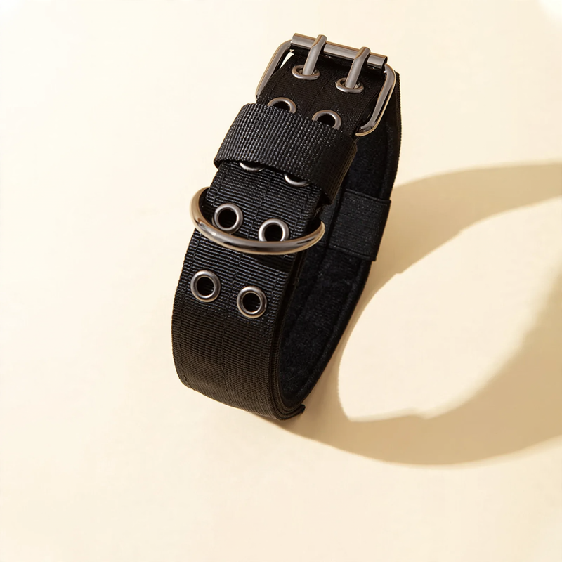 Nylon collar for medium and large dogs