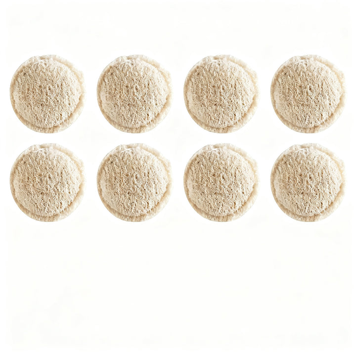 Pot brush with loofah sponge, long handle