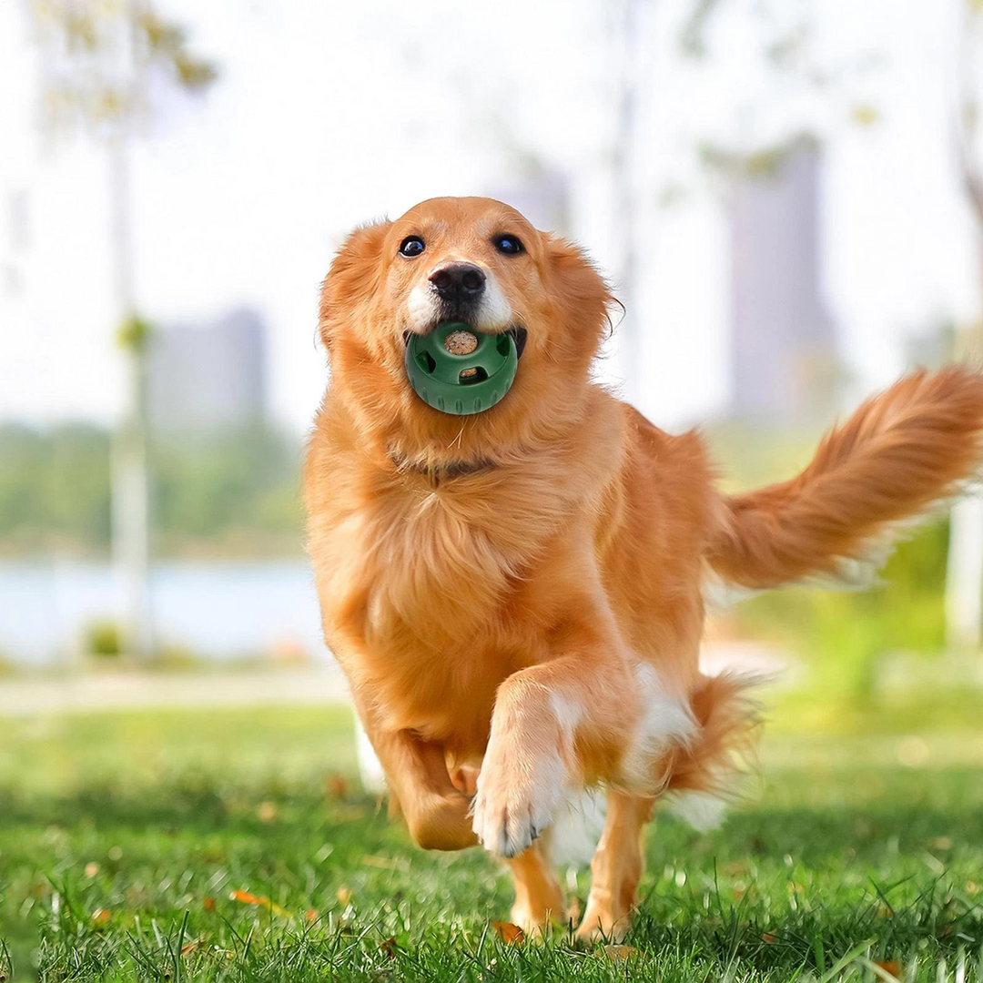 Treat-Licking Ball for Dogs | Durable, Reusable, Summer Fun | Stornfield