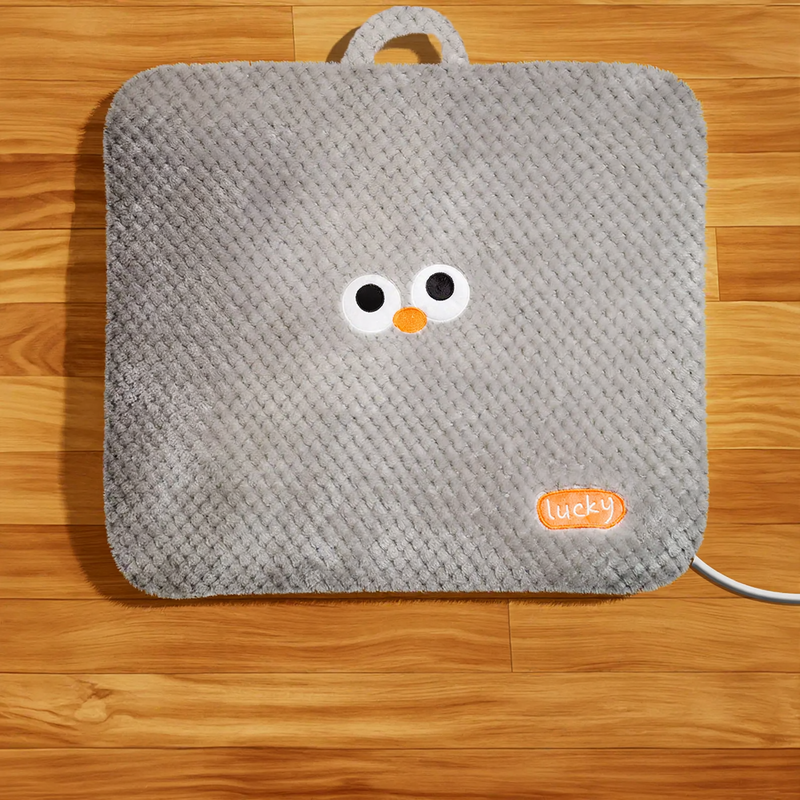 Heated pet mat with cover