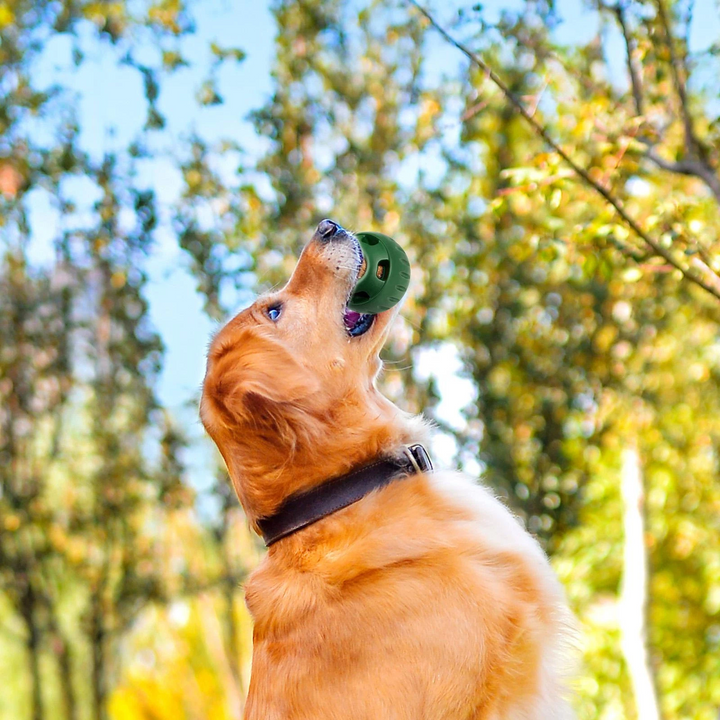 Treat-Licking Ball for Dogs | Durable, Reusable, Summer Fun | Stornfield