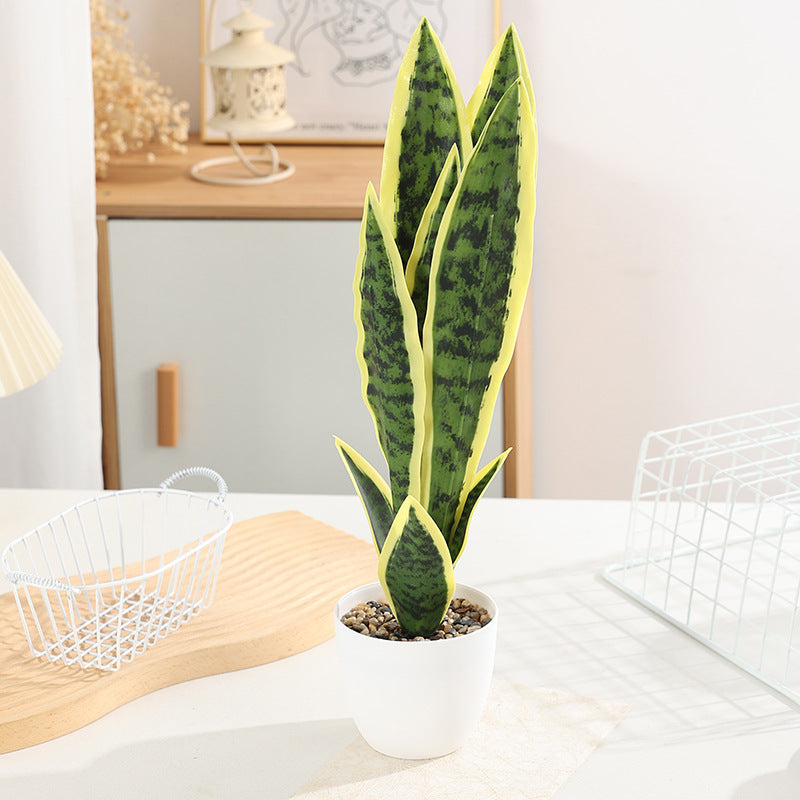 Artificial plant Sansevieria, 50 cm, PE