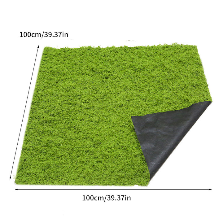 Javamoos Portion, dried