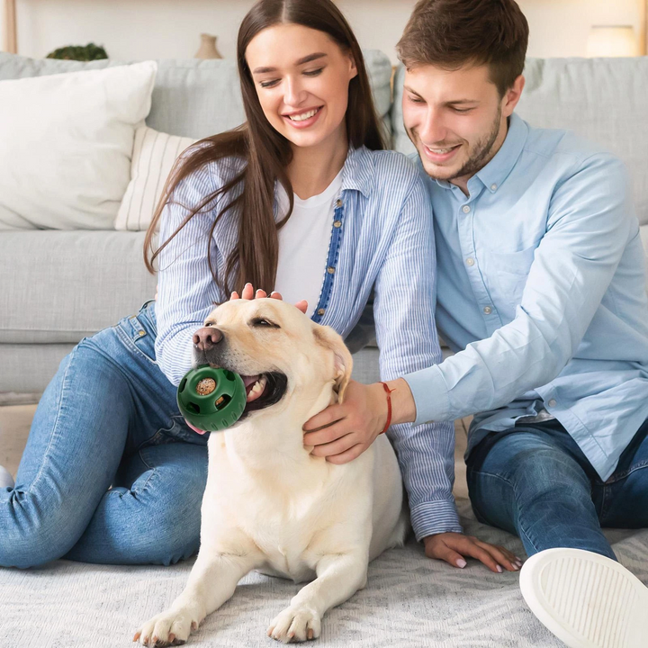 Treat-Licking Ball for Dogs | Durable, Reusable, Summer Fun | Stornfield